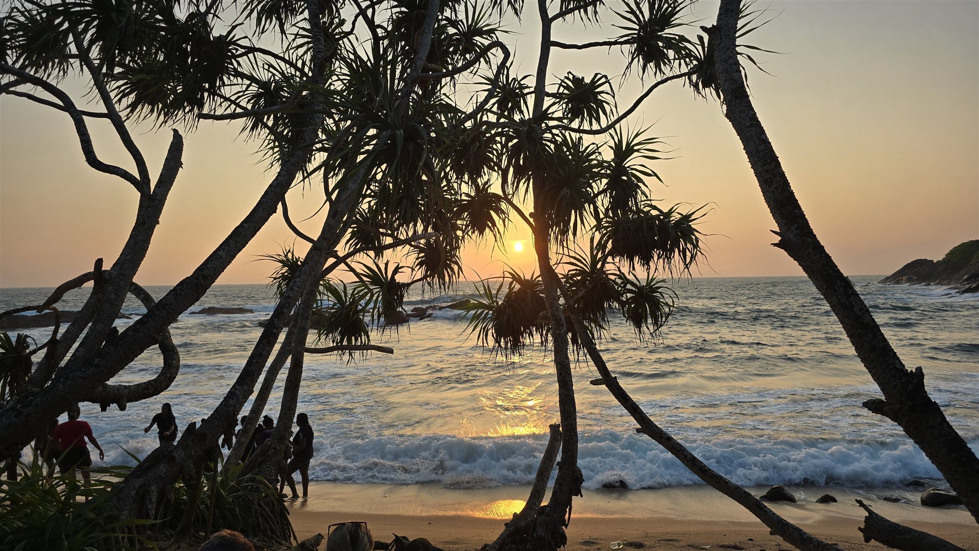 Strand bei Sonnenuntergang mit Palmen, Sri Lanka